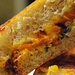 Grilled Cheese and Squash Sandwich